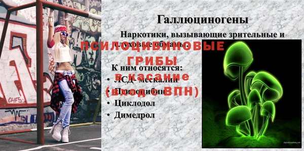 спайс Алексеевка