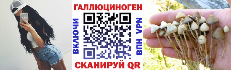 Псилоцибиновые грибы Magic Shrooms  Белгород 