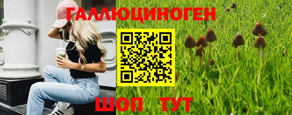 Белгород  Псилоцибиновые грибы MAGIC MUSHROOMS  Вход с VPN  как найти   Галлюциногенные грибы мицелий 