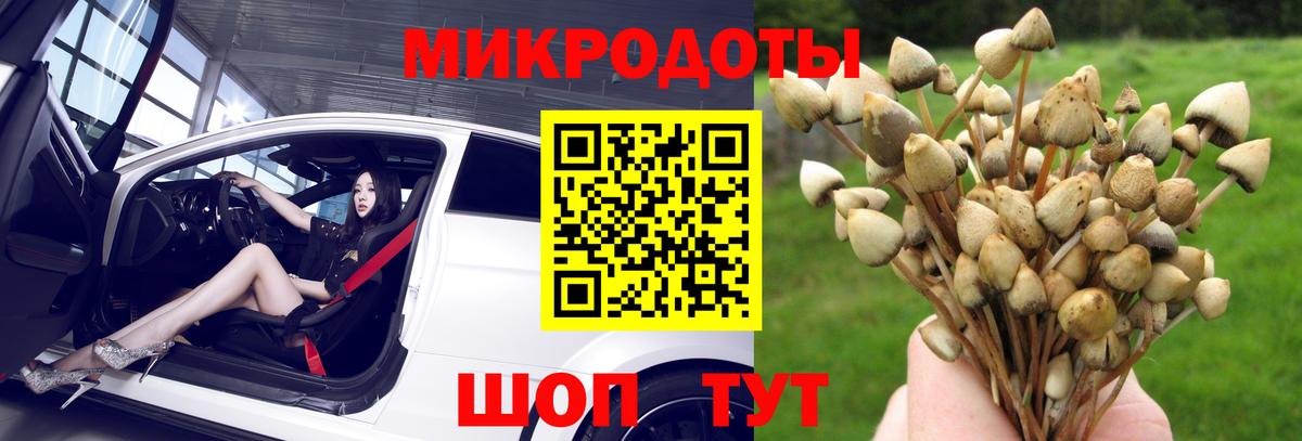 Псилоцибиновые грибы мухоморы Белгород