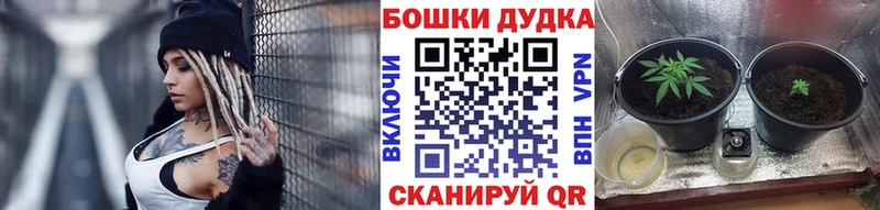 Шишки марихуана конопля  Белгород 